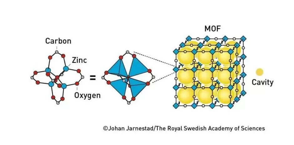 跨越千年的智慧：2000多年前庄子一句话，竟成就了今年的诺贝尔化学奖-第6张图片-
