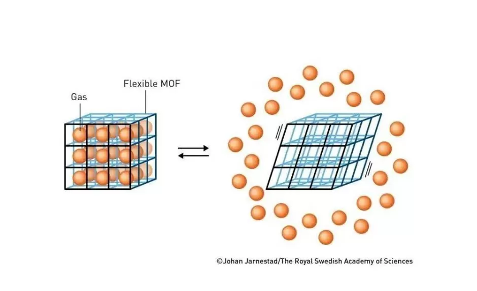 跨越千年的智慧：2000多年前庄子一句话，竟成就了今年的诺贝尔化学奖-第5张图片-