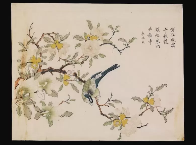 访谈｜这批罕见姑苏版画何以被美国博物馆联手购藏-第8张图片-