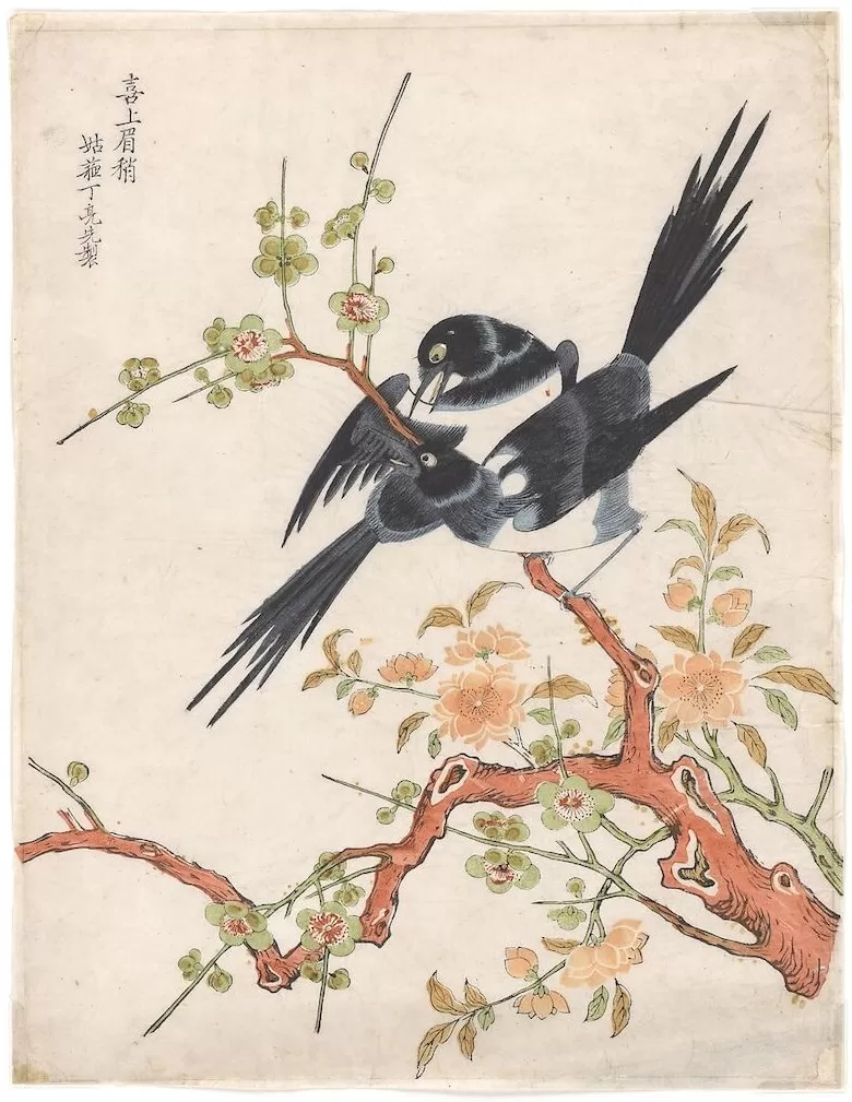 访谈｜这批罕见姑苏版画何以被美国博物馆联手购藏-第14张图片-