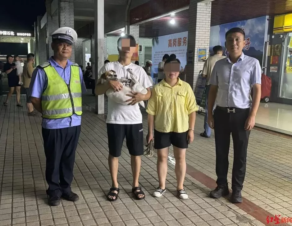 小狗长假“被弃高速”不吃不喝苦等主人，主人返程特意绕行数十公里来找它：不是故意丢弃-第3张图片-