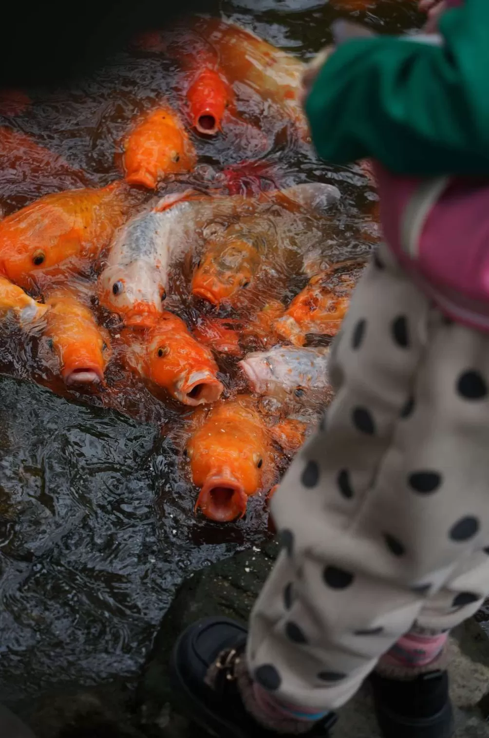 看展览｜陆元敏眼里的彩色上海：生活中好玩的东西都在细节里-第14张图片-
