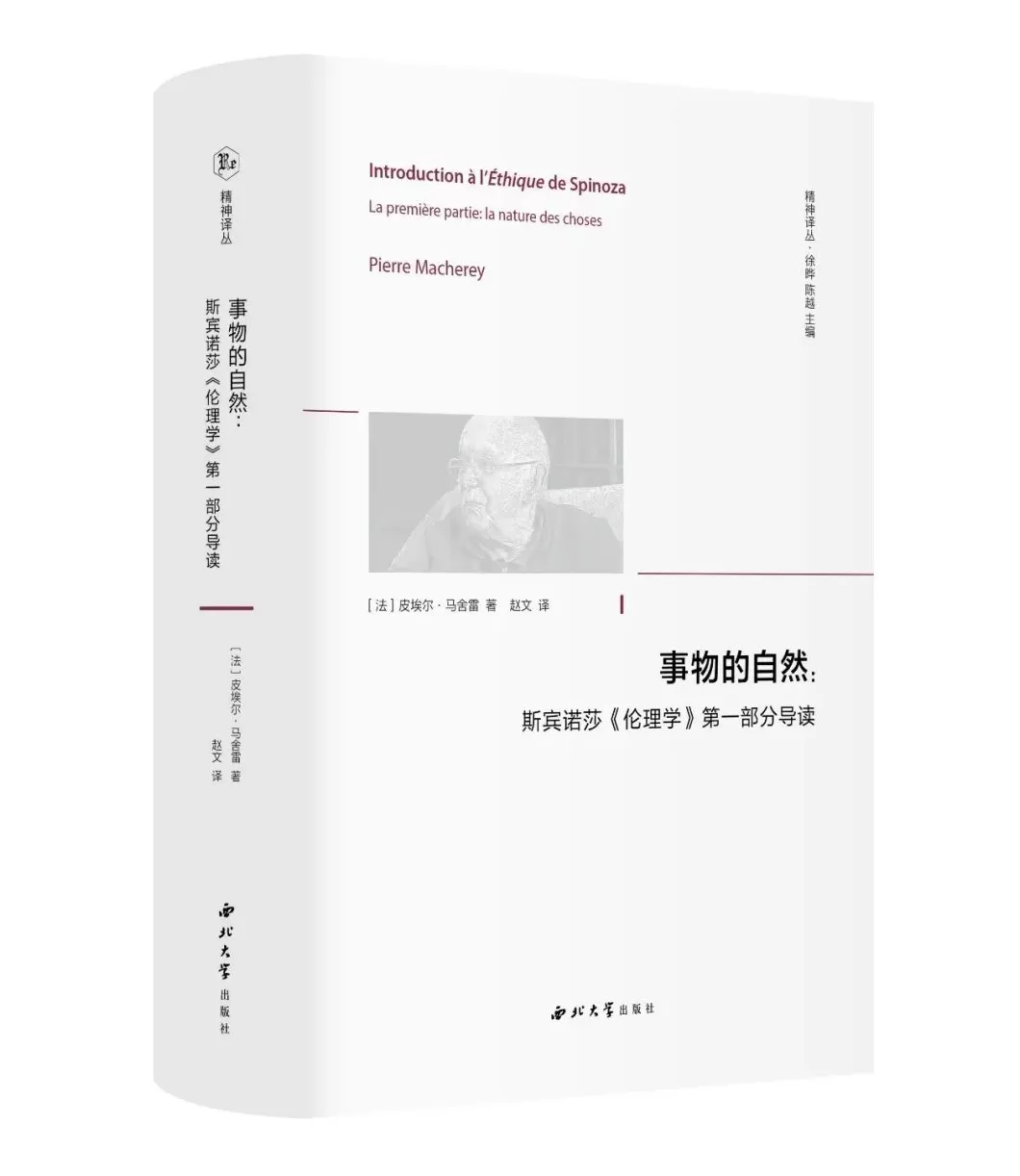 哲学新书联合书单｜污名陷阱-第16张图片-