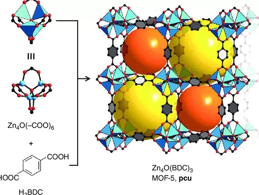 奥马尔·亚吉：从“牛棚”里走出的诺贝尔奖得主-第7张图片-