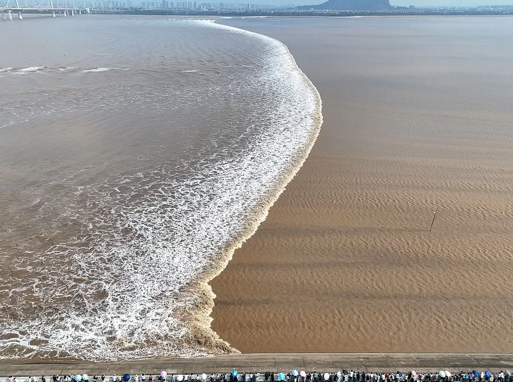 城事｜八月十八钱塘江潮如练，数万游客共赏“天下第一潮”-第2张图片-