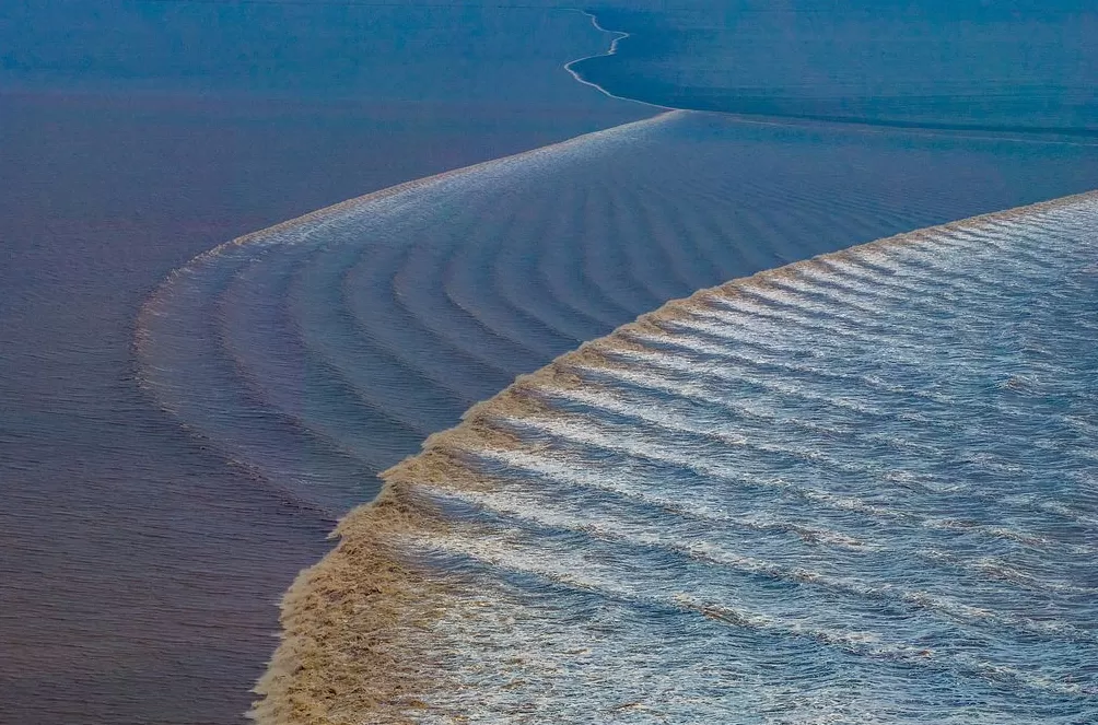 城事｜八月十八钱塘江潮如练，数万游客共赏“天下第一潮”-第8张图片-