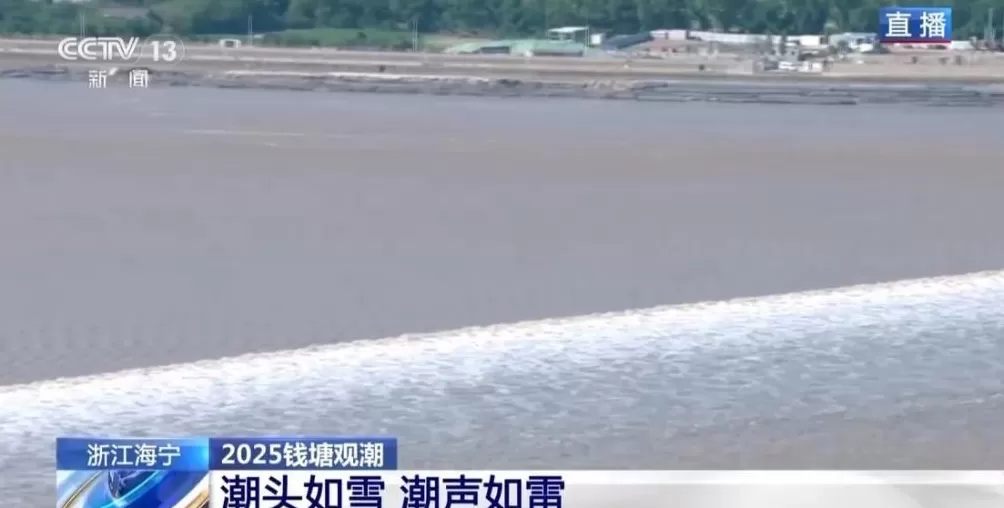 最佳视角看潮水与大坝正面交锋-第1张图片-