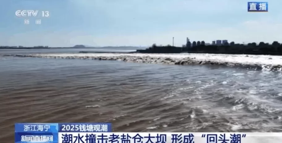 最佳视角看潮水与大坝正面交锋-第4张图片-