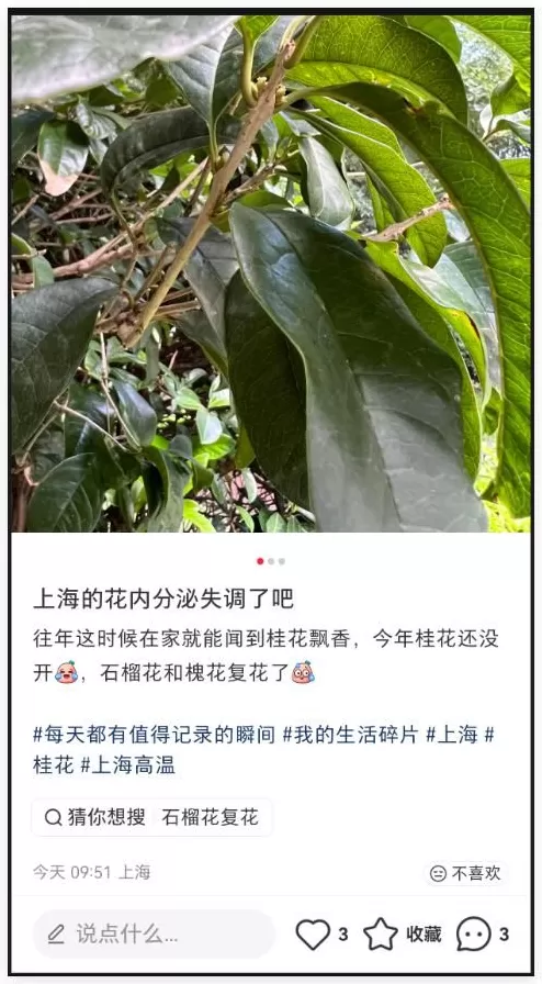 还有半个月就立冬了，上海35度-第9张图片-