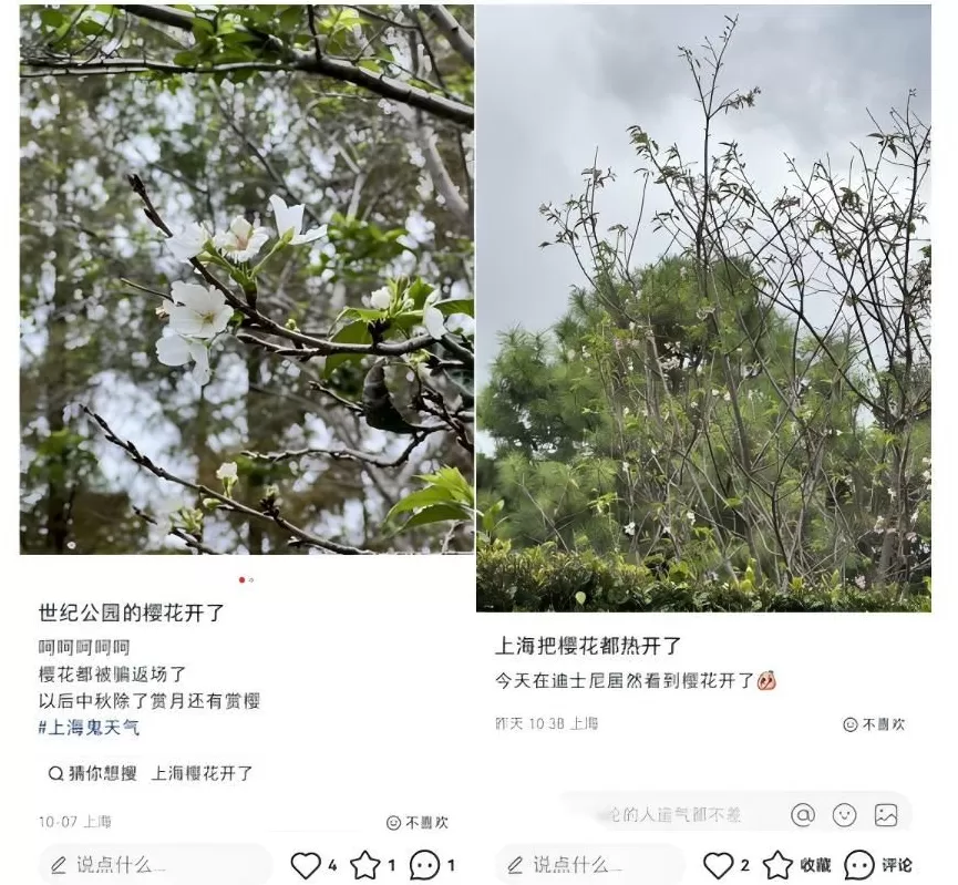 还有半个月就立冬了，上海35度-第10张图片-