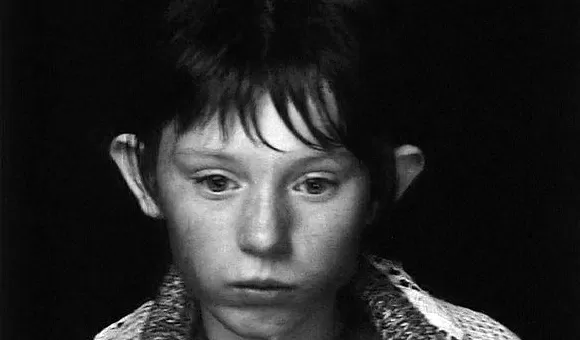 诺贝尔文学奖丨拉斯洛《撒旦探戈》问的那个问题依然无解-第3张图片-