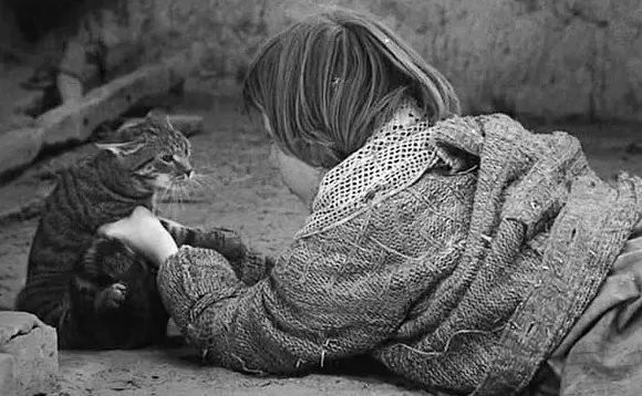 诺贝尔文学奖丨拉斯洛《撒旦探戈》问的那个问题依然无解-第2张图片-