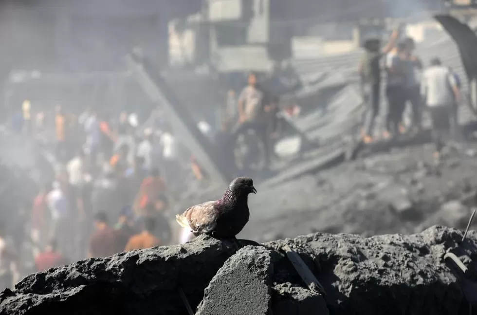 加沙停火第一阶段协议达成和平前景“脆弱”？-第1张图片-