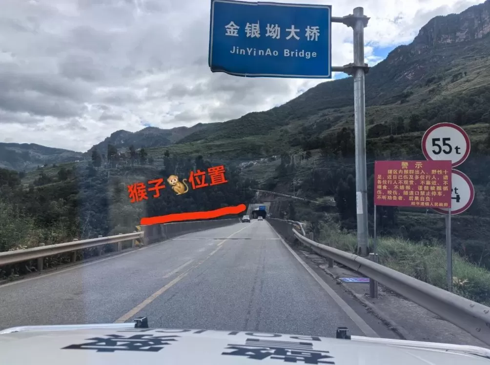 男子路边停车休息遭野猴入车袭击，警方：勿违规停车，勿投喂-第2张图片-