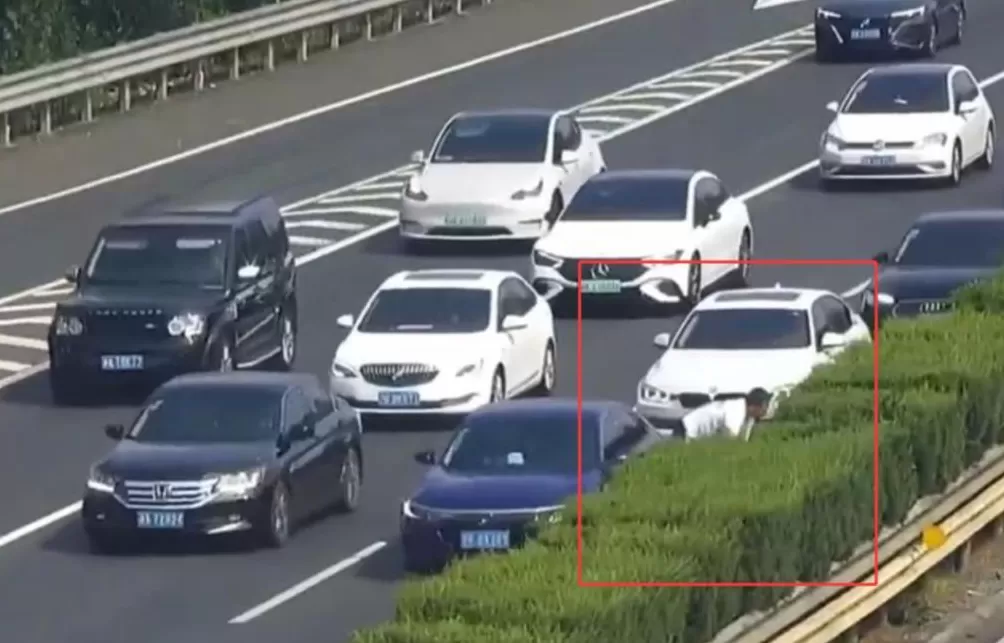 男子高速开车时，金项链被孩子一把扯断甩出车外！夫妻俩直接停车，冲向绿化带埋头找，交警：命重要还是东西重要？-第1张图片-