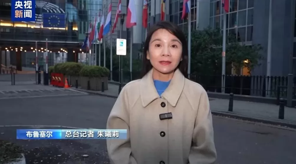 3个月两次信任危机，冯德莱恩遭欧盟内部猛烈批评-第1张图片-