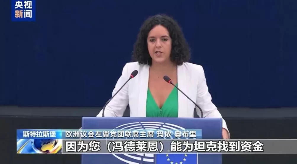 3个月两次信任危机，冯德莱恩遭欧盟内部猛烈批评-第6张图片-
