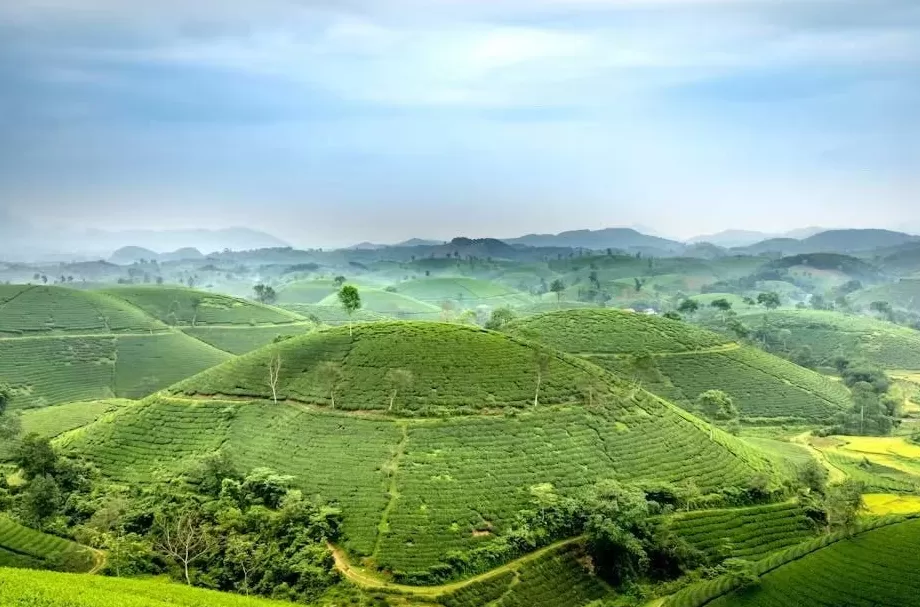 江西兴国：“油茶林碳”开启绿色经济新篇章-第1张图片-