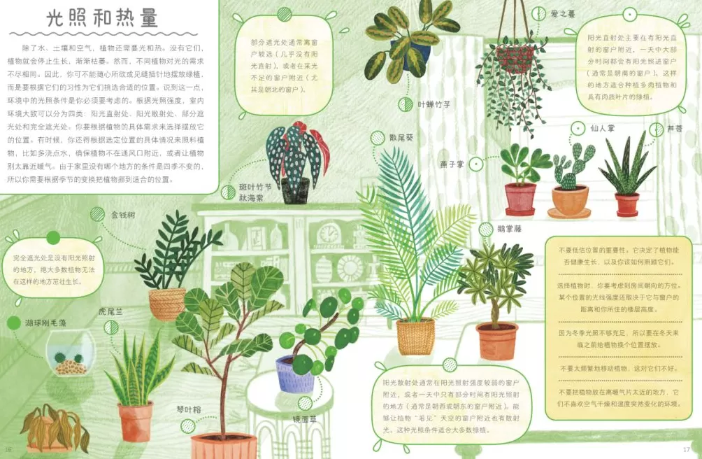 童书湃｜了解新奇、有趣的科普知识，看看这些书-第2张图片-