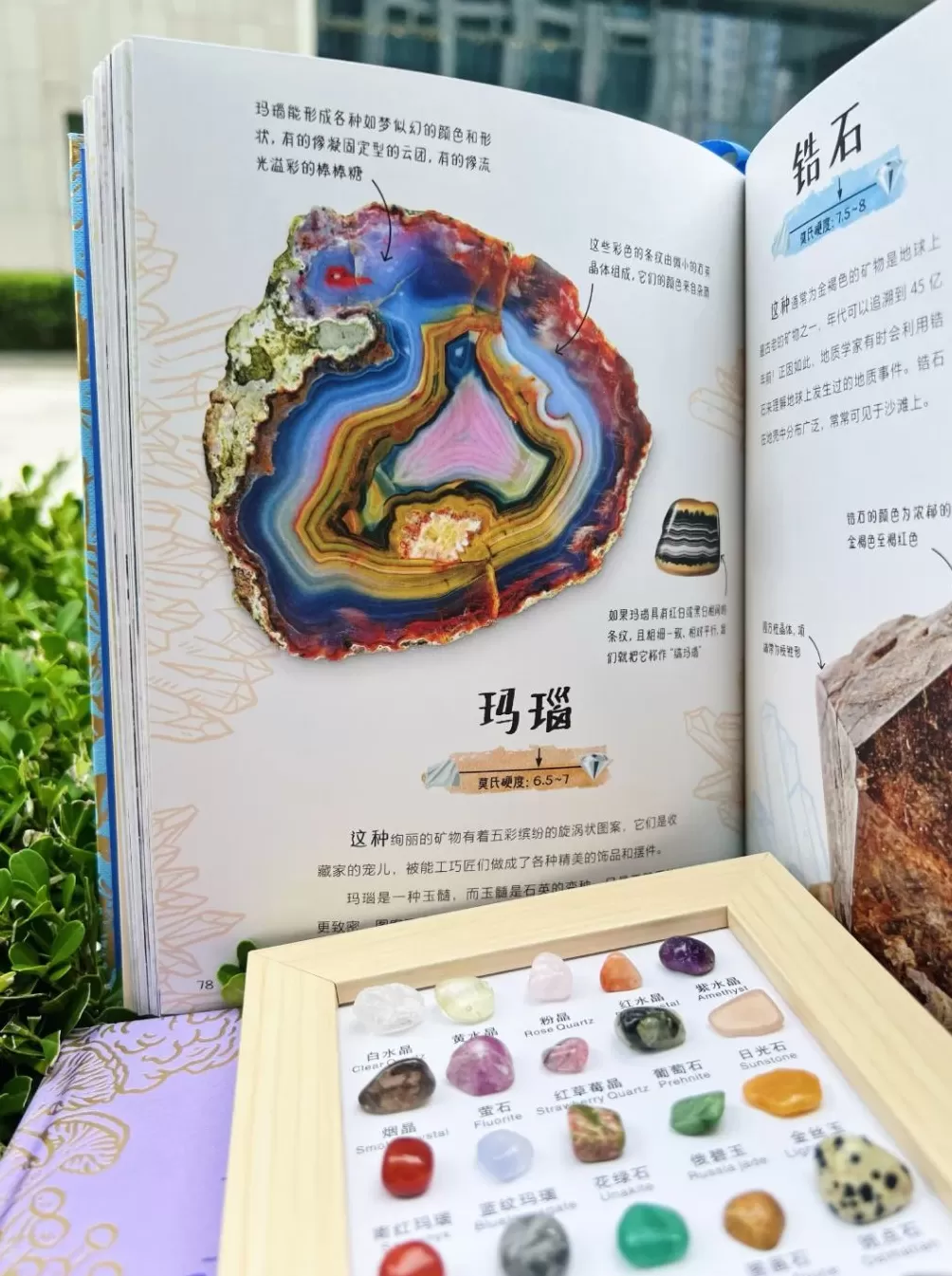 童书湃｜了解新奇、有趣的科普知识，看看这些书-第8张图片-