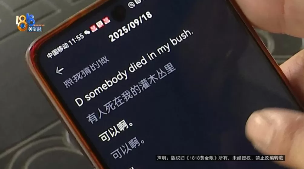 男子去英国旅游买翻译耳机，称翻译后“根本听不懂”？记者现场用美剧片段测试-第5张图片-