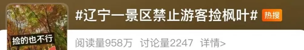 一景区禁止游客捡枫叶，是小题大做吗？-第1张图片-