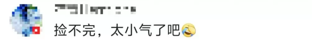 一景区禁止游客捡枫叶，是小题大做吗？-第3张图片-