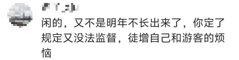一景区禁止游客捡枫叶，是小题大做吗？-第4张图片-