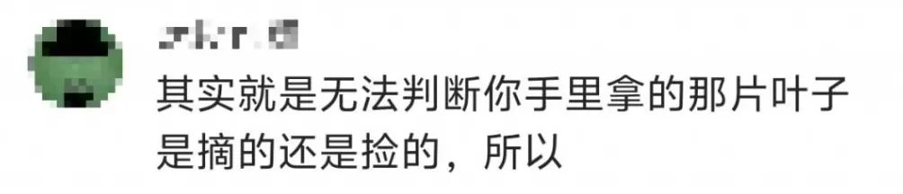 一景区禁止游客捡枫叶，是小题大做吗？-第6张图片-