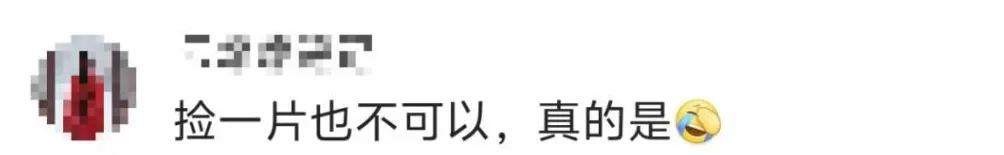 一景区禁止游客捡枫叶，是小题大做吗？-第5张图片-