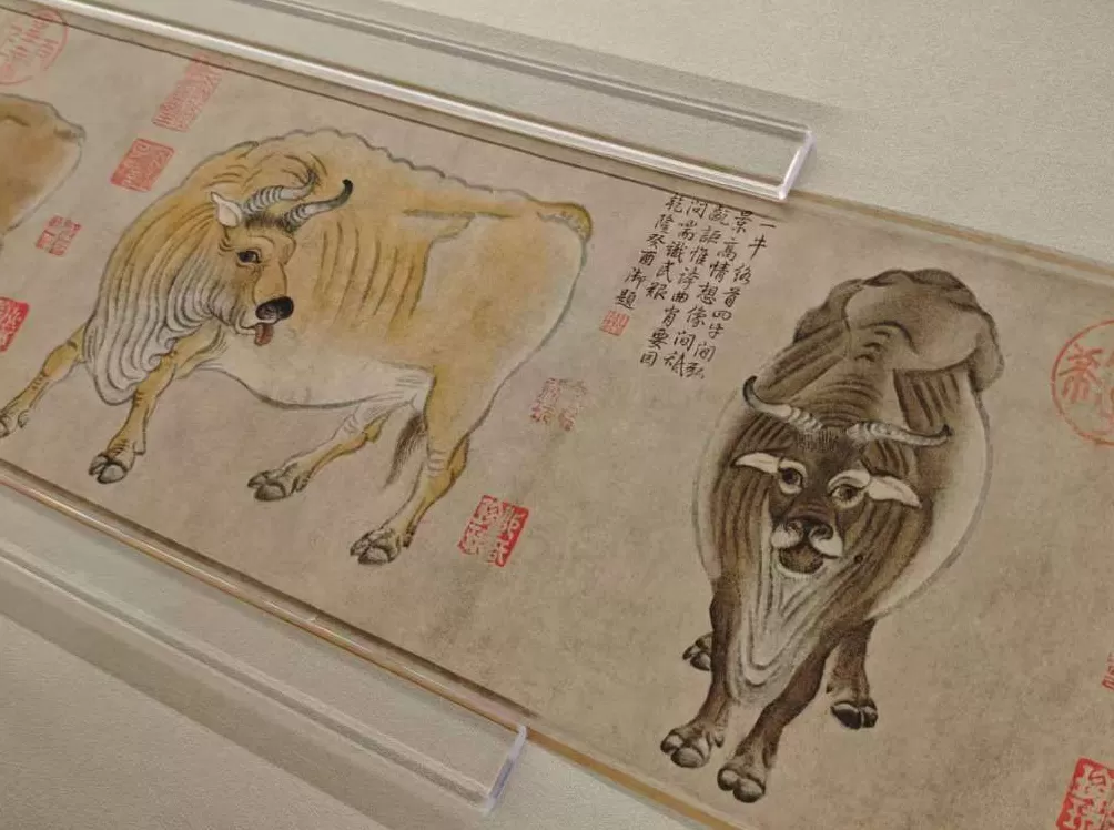 一周展讯｜“顶流”文物的相聚与守护-第9张图片-