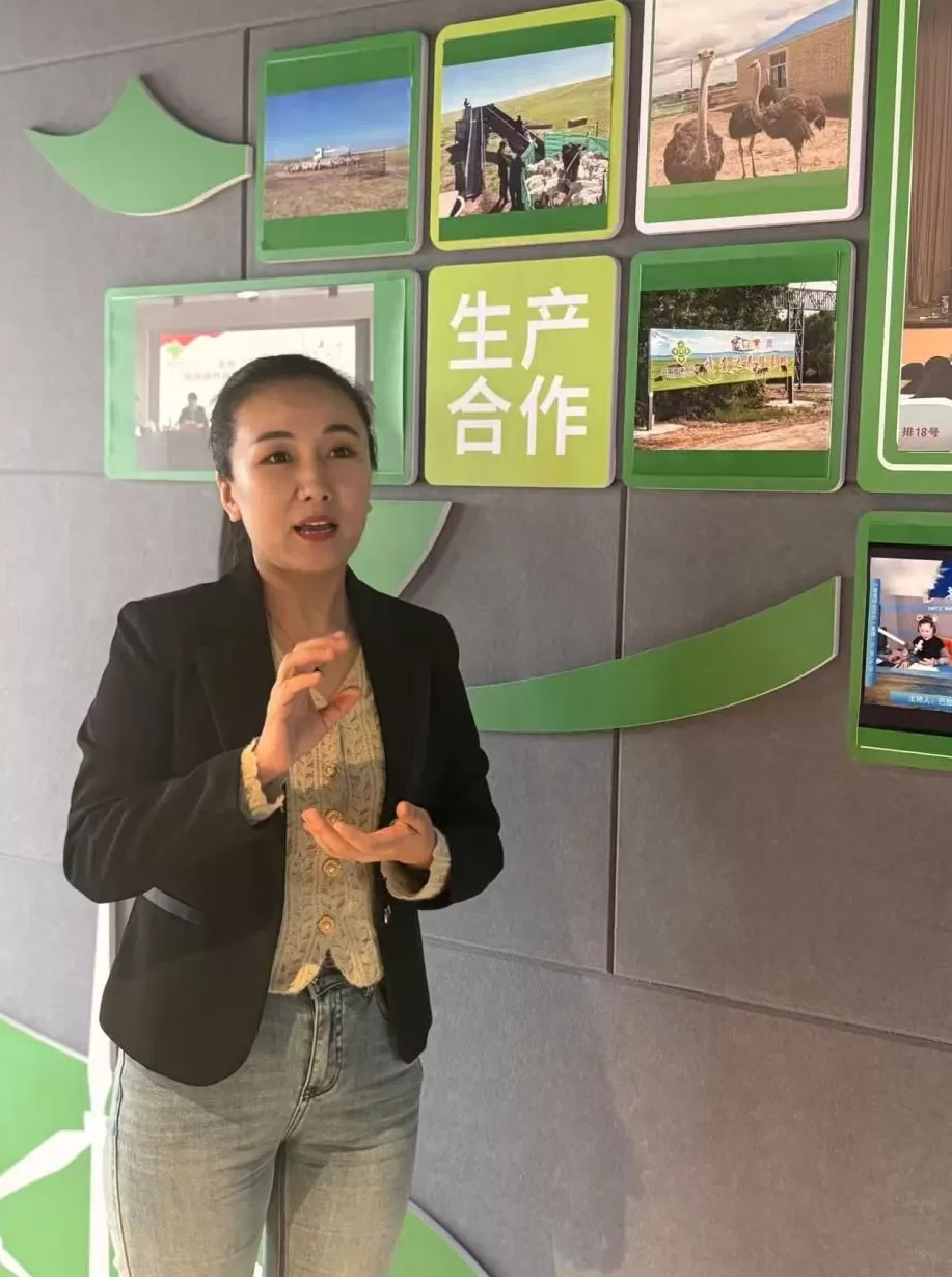 呼伦贝尔鄂温克旗“三位一体”改革观察：生态美、产业兴、牧民富-第4张图片-