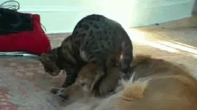 少了这2小时，每天睡够8个小时都没用-第2张图片-