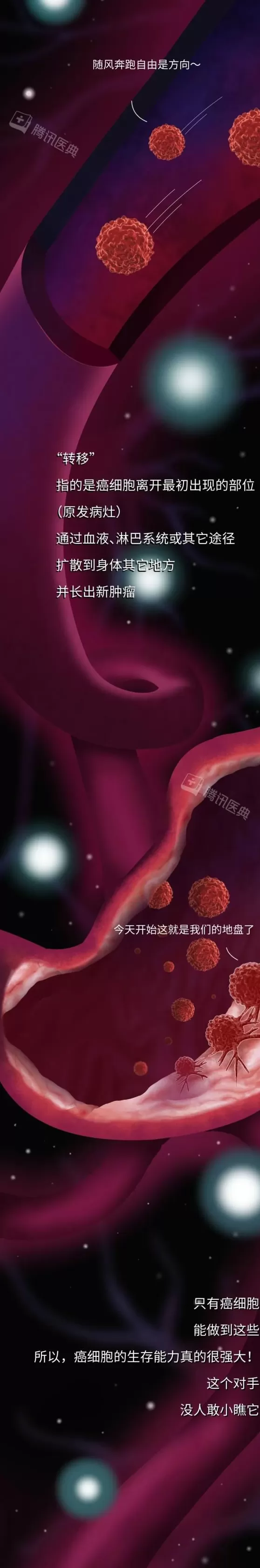 癌细胞，是怎样在身体里跑来跑去的？-第2张图片-