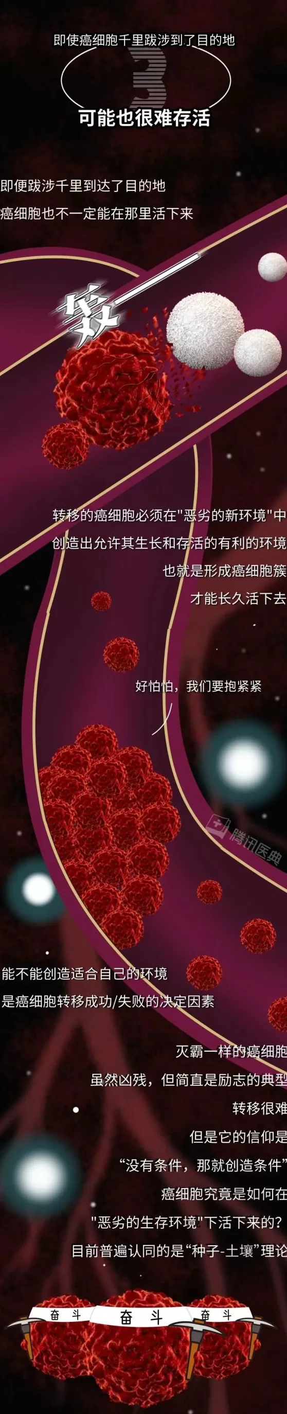 癌细胞，是怎样在身体里跑来跑去的？-第7张图片-