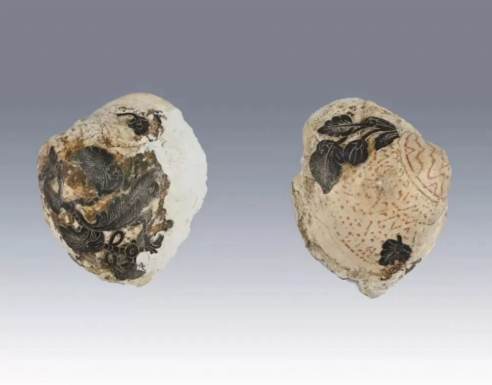 陕西发现唐朝宰相张九龄夫人墓-第5张图片-