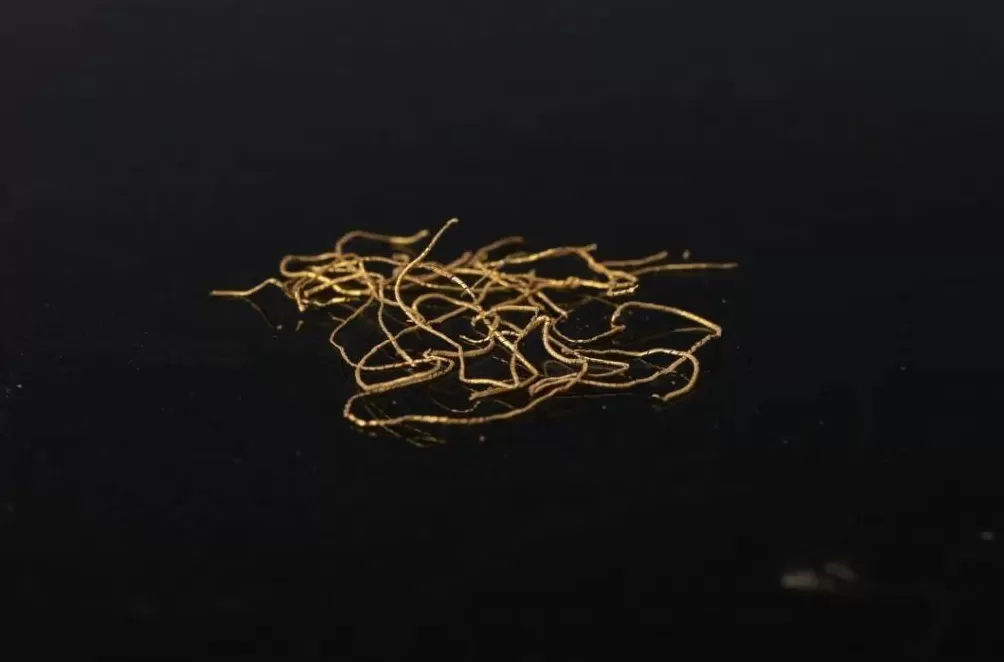 陕西发现唐朝宰相张九龄夫人墓-第9张图片-