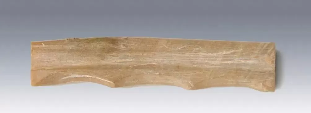 陕西发现唐朝宰相张九龄夫人墓-第10张图片-