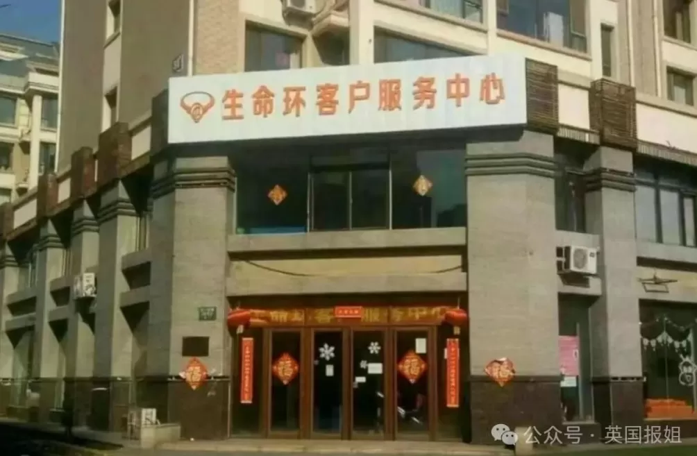 中国“妖姬”卷走470亿成英史上最大诈骗犯？骗走13万老人养老钱，手段太恶！-第4张图片-