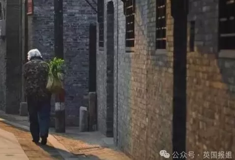 中国“妖姬”卷走470亿成英史上最大诈骗犯？骗走13万老人养老钱，手段太恶！-第17张图片-