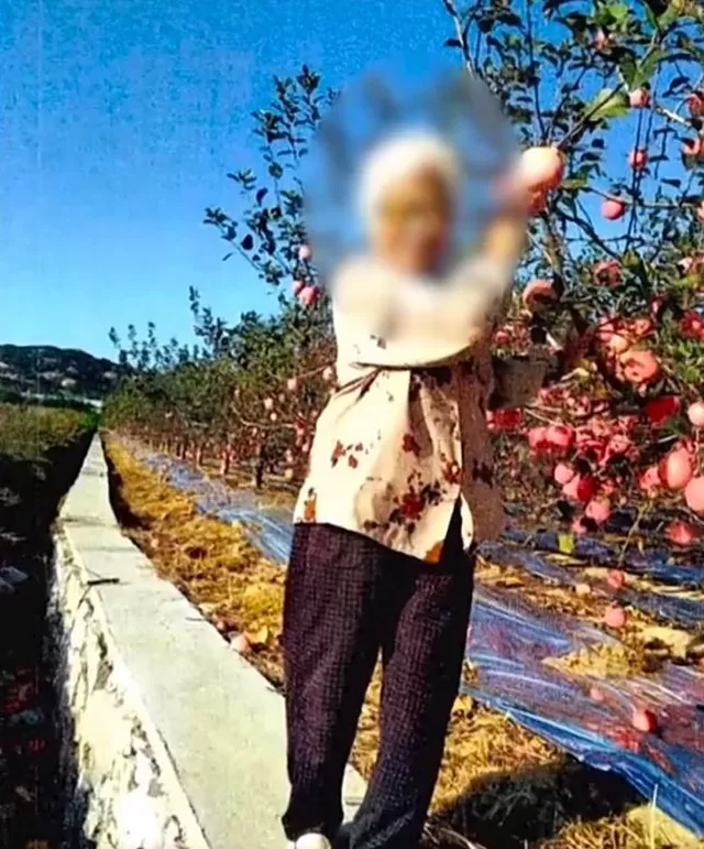 九旬老太将房产存款全部留给“干儿子”，死后骨灰却被撒荒山……-第11张图片-