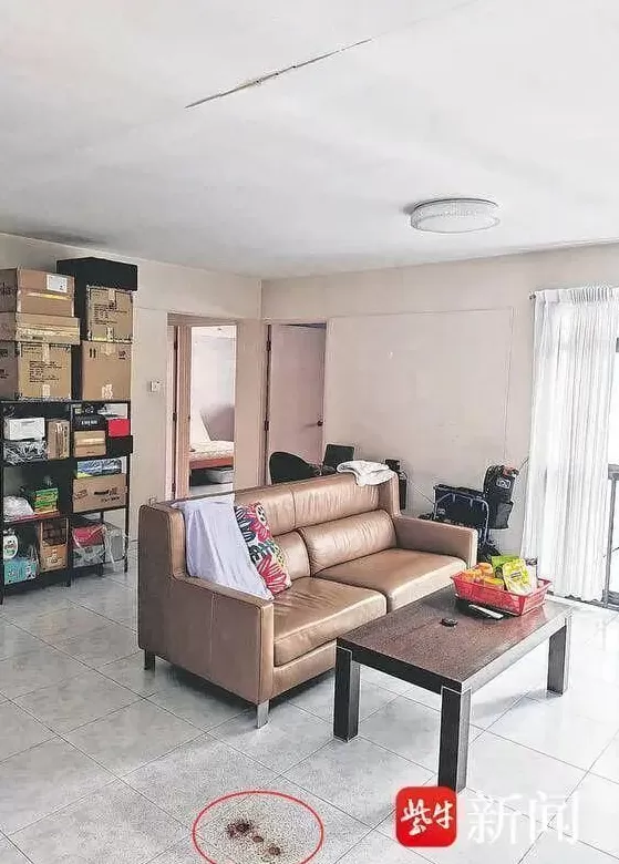 东北父女在新加坡住所双亡女儿曾写博客回忆东北扫雪-第1张图片-