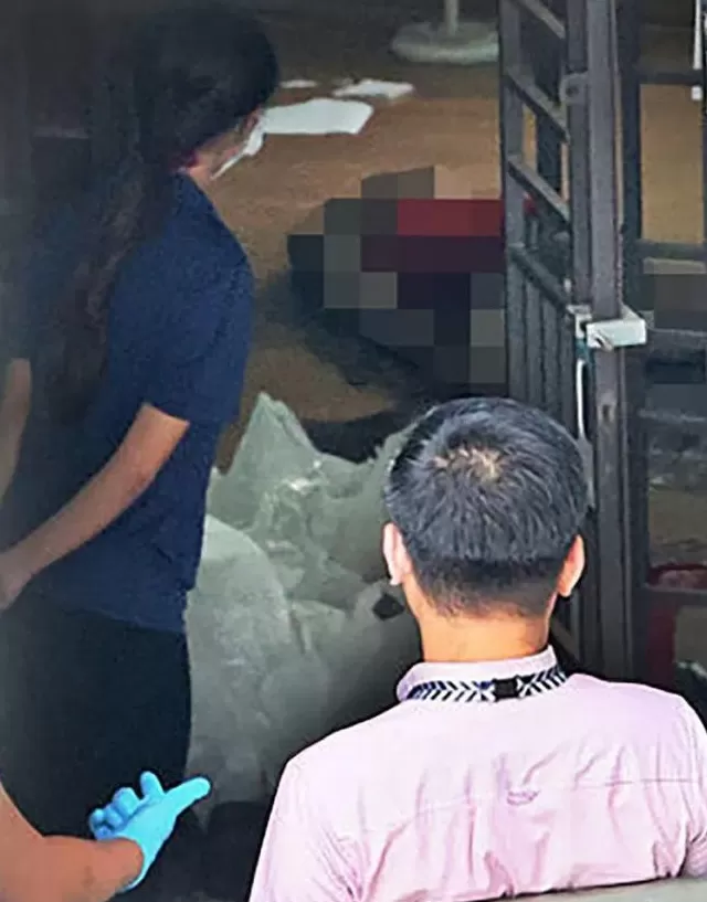 东北父女在新加坡住所双亡女儿曾写博客回忆东北扫雪-第4张图片-