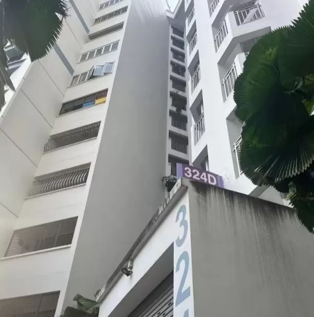 东北父女在新加坡住所双亡女儿曾写博客回忆东北扫雪-第5张图片-