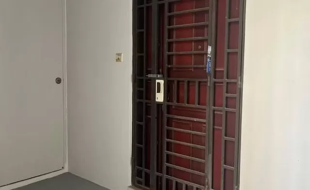 东北父女在新加坡住所双亡女儿曾写博客回忆东北扫雪-第6张图片-