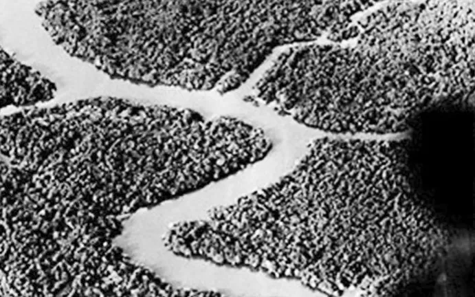 20世纪的战争与环境：一种全球性的分析-第2张图片-