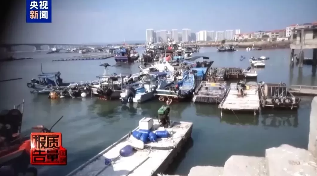 漳州无人岛现巨大垃圾天坑：禁止登岛却游客扎堆，非法包船成公开生意-第4张图片-