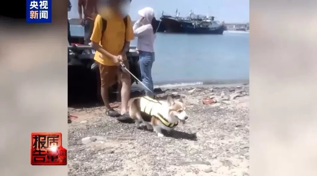 漳州无人岛现巨大垃圾天坑：禁止登岛却游客扎堆，非法包船成公开生意-第5张图片-