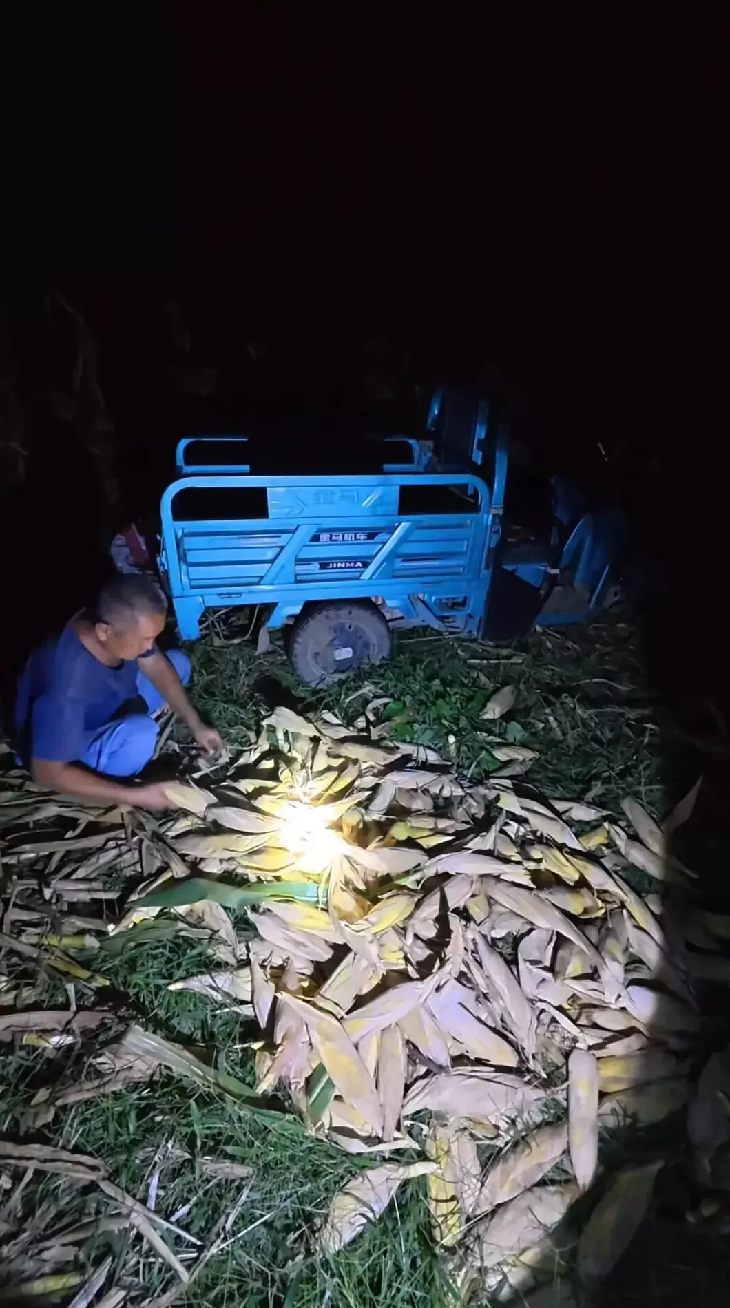 光明日报：“大学生回家掰了7天半玉米”，为何打动人心？-第2张图片-