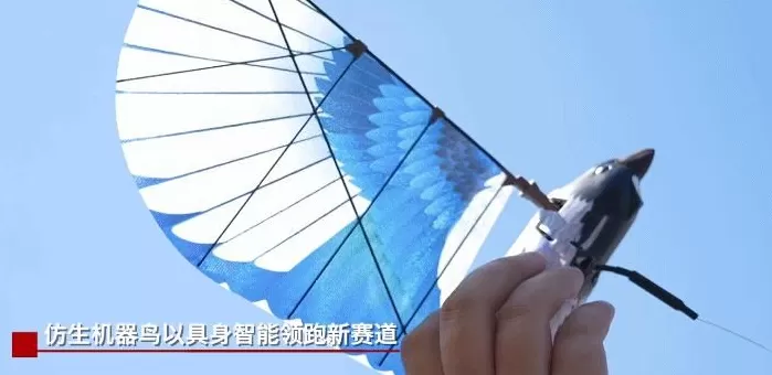 隐蔽性极强！未来战场看“鸟群”出击-第1张图片-